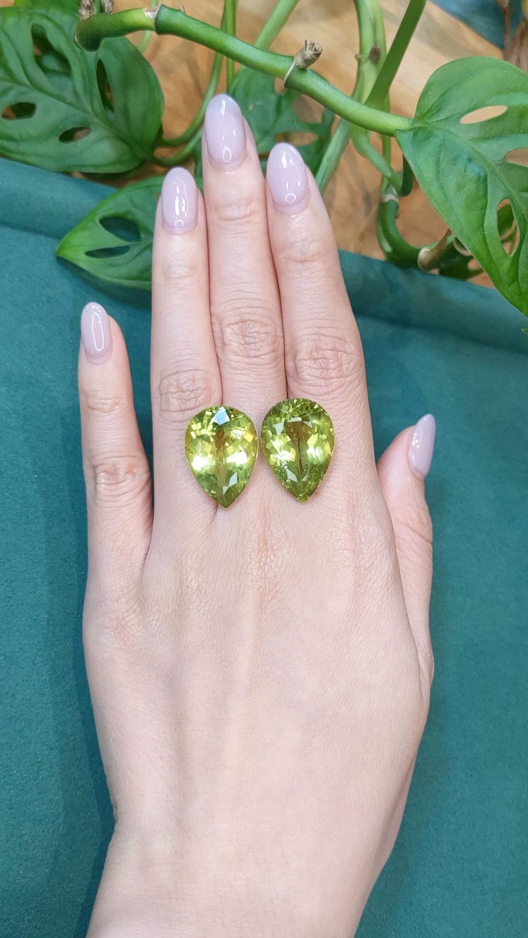 43.87&nbsp;Ct.Tw.Total Carat Weight Yellowish Green Apatite Pair from Madagascar Size Video