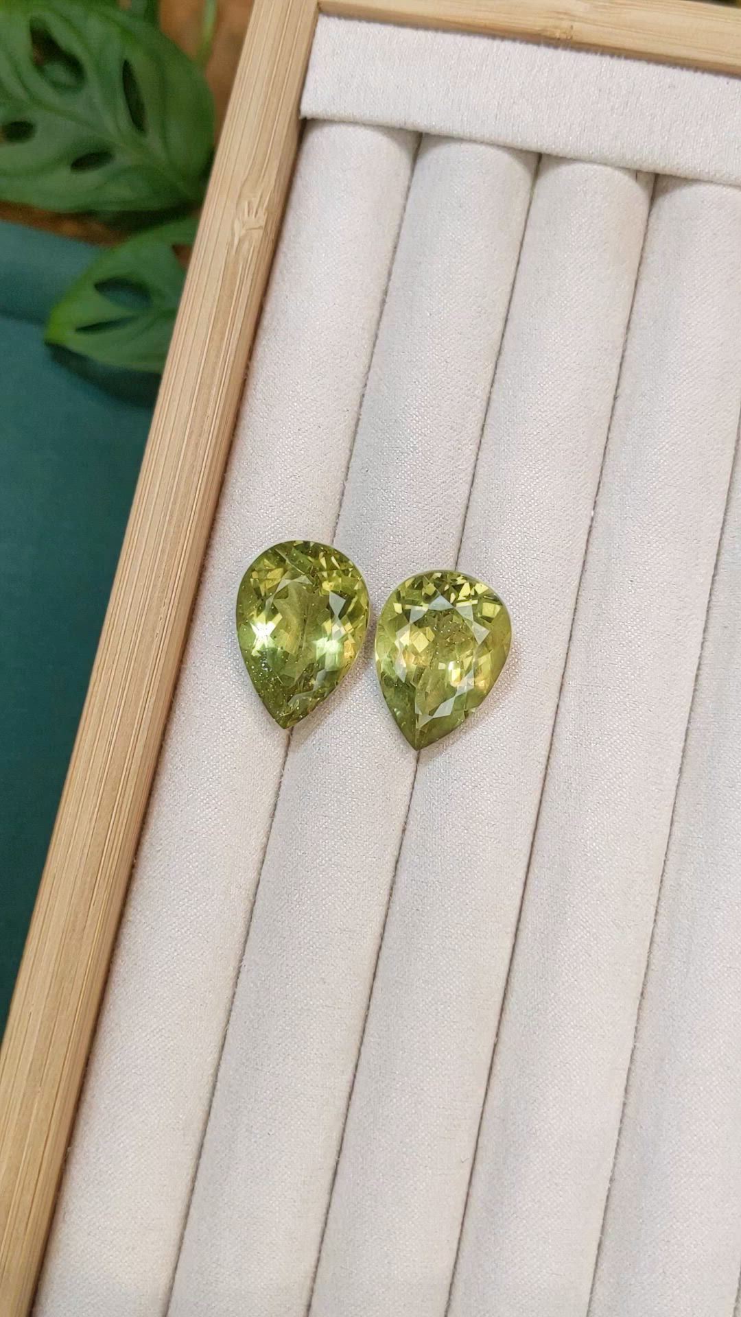 43.87&nbsp;Ct.Tw.Total Carat Weight Yellowish Green Apatite Pair from Madagascar Size Video