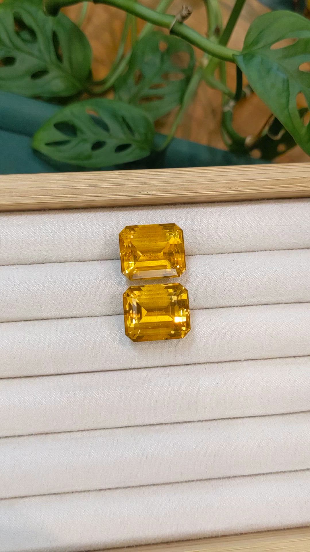 43.69 Ct.Tw.Total Carat Weight Orangish Yellow Heliodor Pair from Namibia Size Video