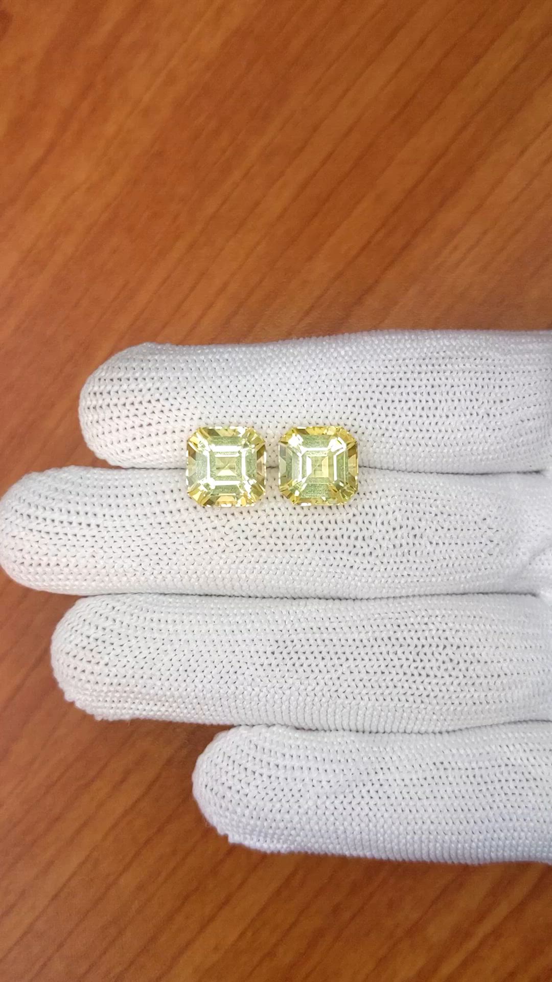 9.77&nbsp;Ct.Tw.Total Carat Weight Yellow Citrine Pair from Ceylon (Sri Lanka) Size Video