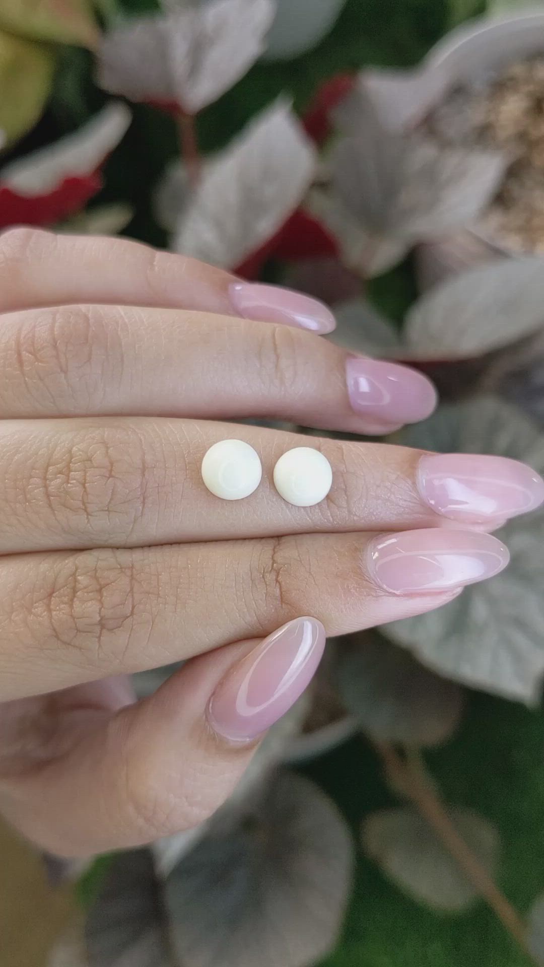 3.37&nbsp;Ct.Tw.Total Carat Weight Salmon and White Cabochon Coral Pair from Italy Size Video