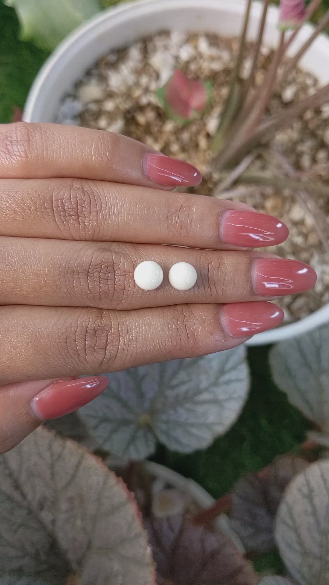 3.22&nbsp;Ct.Tw.Total Carat Weight Salmon and White Cabochon Coral Pair from Italy Size Video