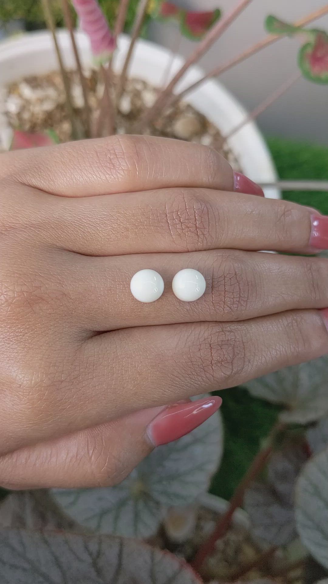 3.73 Ct.Tw.Total Carat Weight Salmon and White Cabochon Coral Pair from Italy Size Video