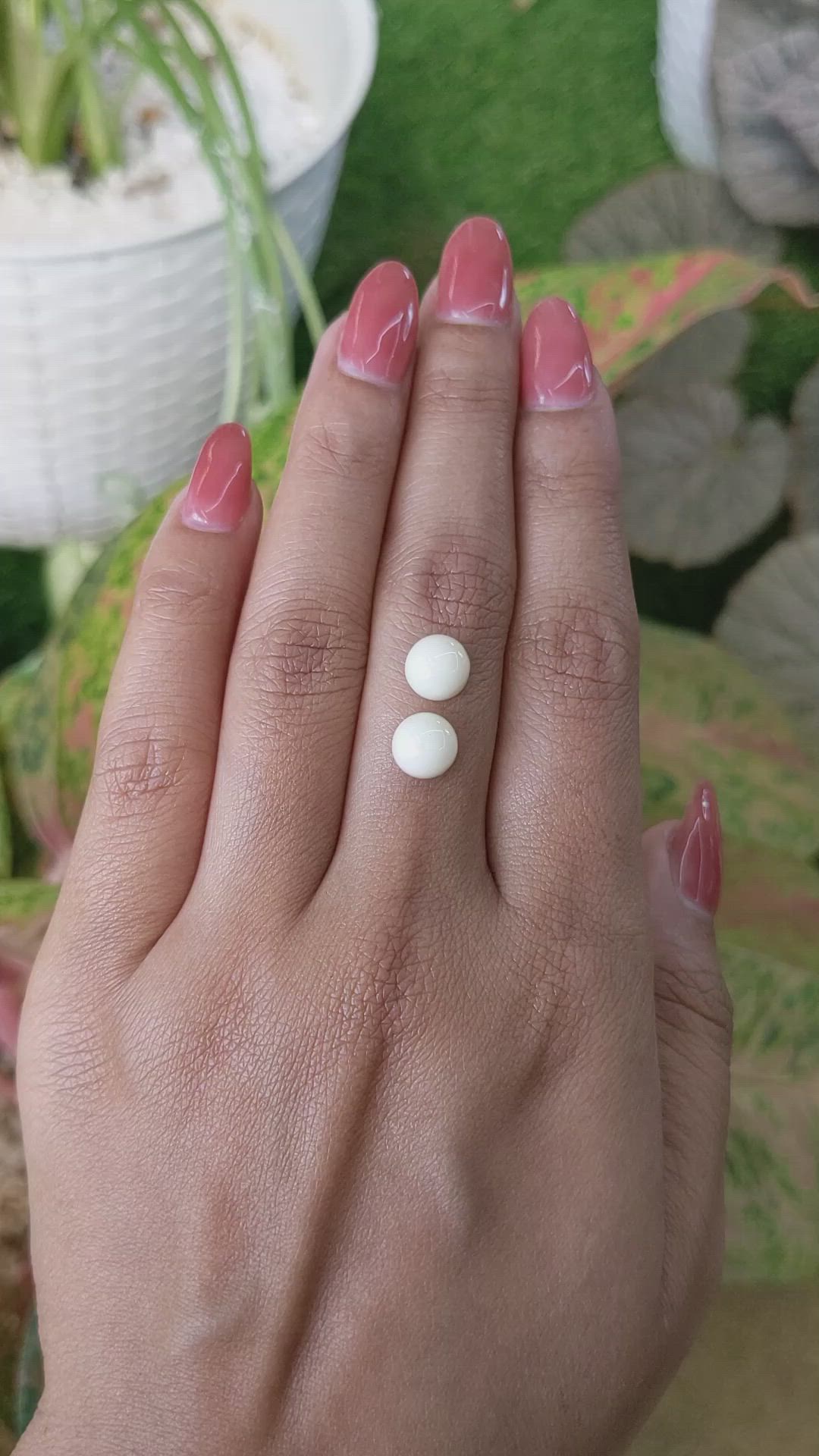 3.73 Ct.Tw.Total Carat Weight Salmon and White Cabochon Coral Pair from Italy Size Video