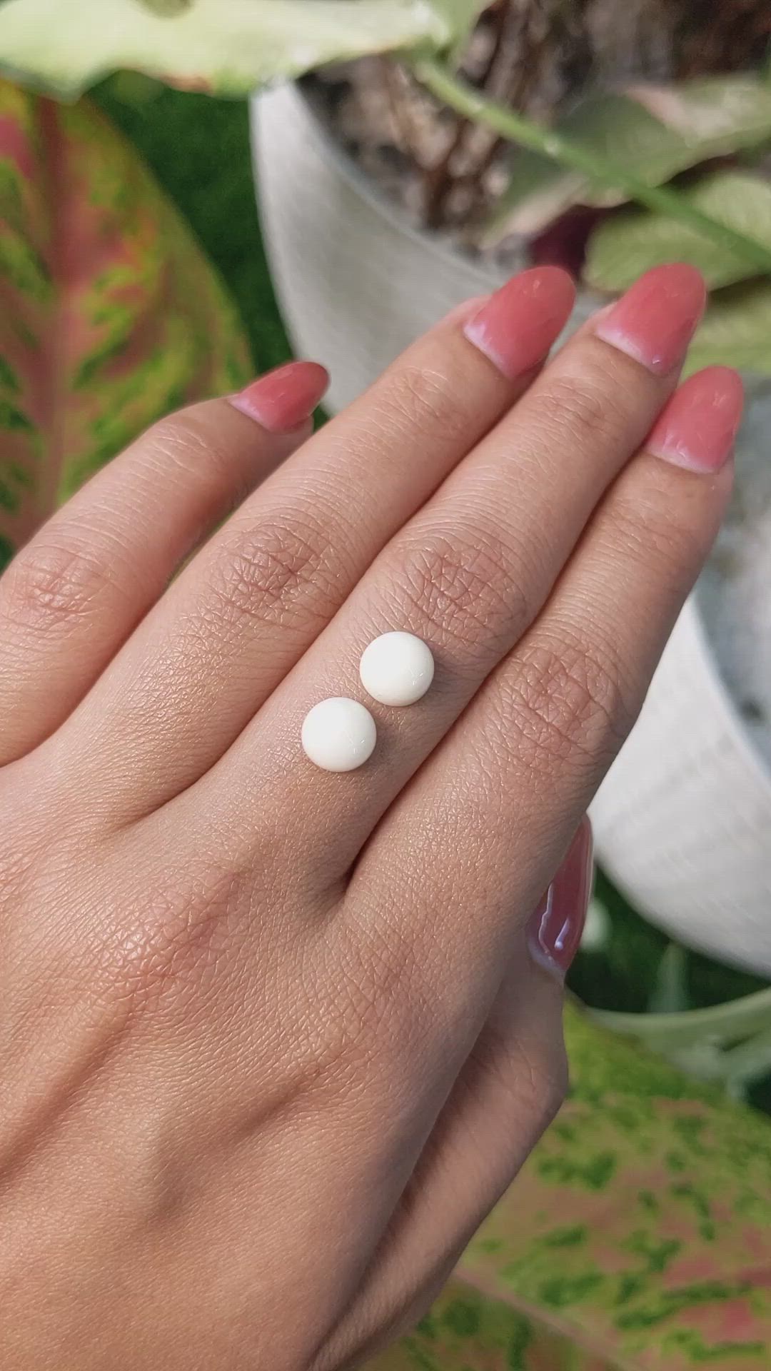3.65&nbsp;Ct.Tw.Total Carat Weight Salmon and White Cabochon Coral Pair from Italy Size Video