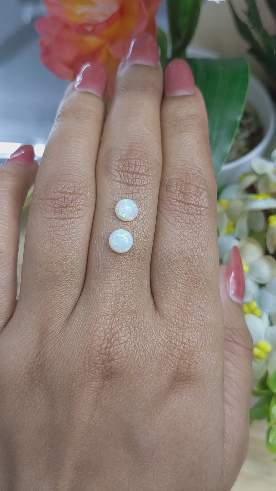 0.95 Ct.Tw.Total Carat Weight Multi Color Cabochon Opal Pair from Brazil Size Video