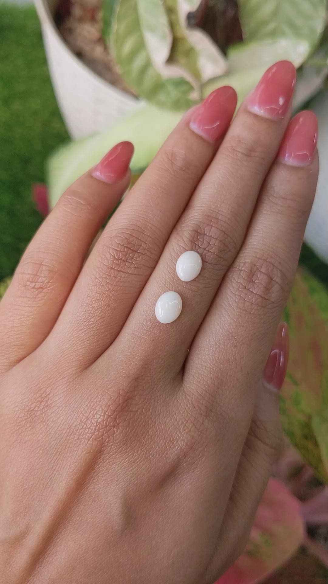1.60&nbsp;Ct.Tw.Total Carat Weight Salmon and White Cabochon Coral Pair from Italy Size Video