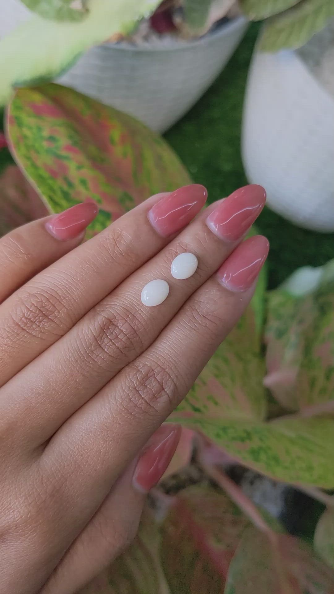 1.60&nbsp;Ct.Tw.Total Carat Weight Salmon and White Cabochon Coral Pair from Italy Size Video