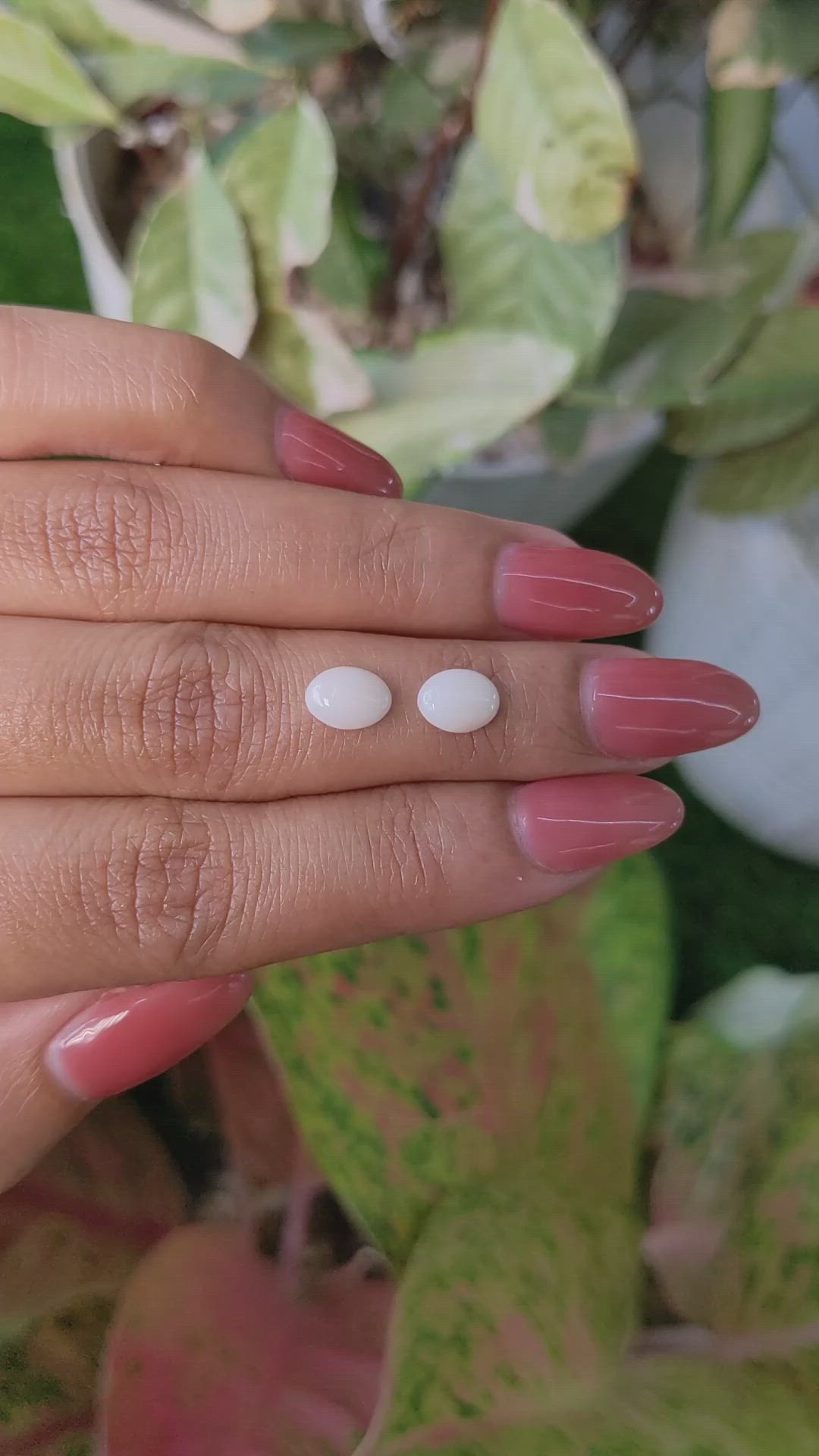 1.60&nbsp;Ct.Tw.Total Carat Weight Salmon and White Cabochon Coral Pair from Italy Size Video
