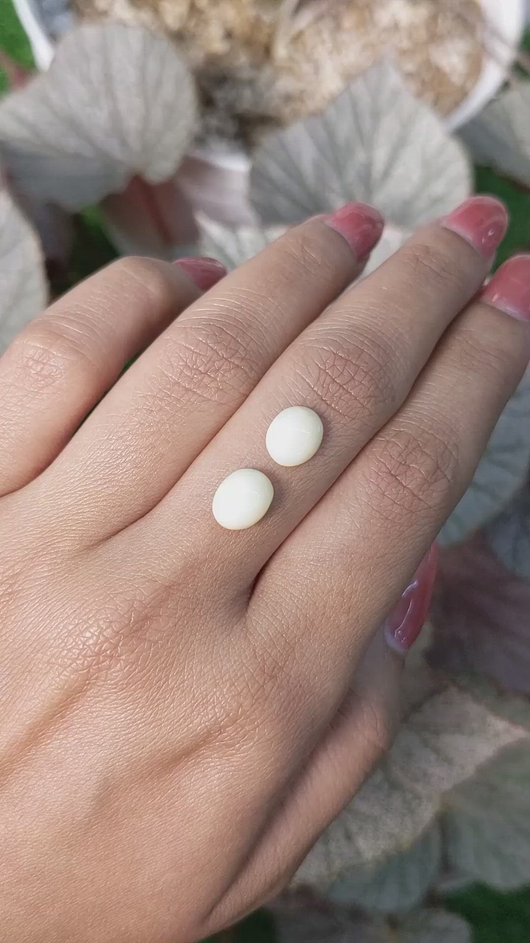 3.10&nbsp;Ct.Tw.Total Carat Weight Salmon and White Cabochon Coral Pair from Italy Size Video