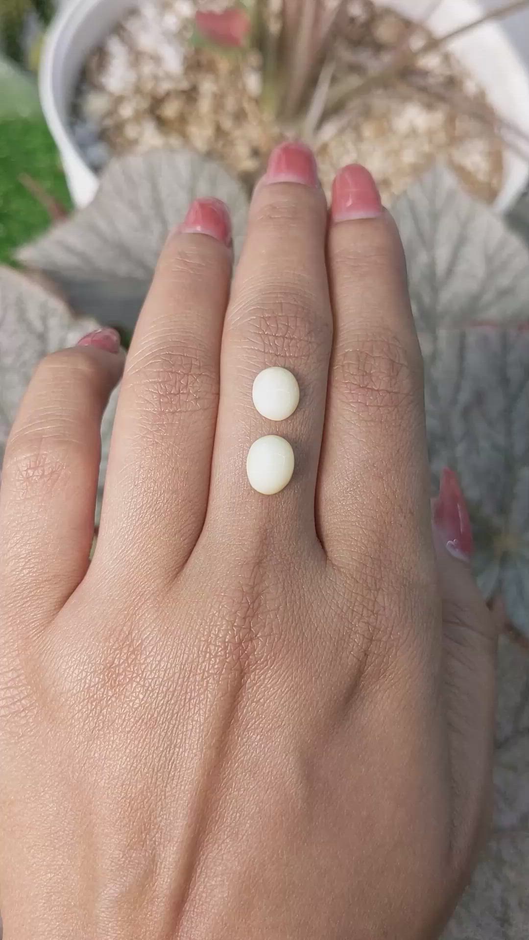3.10&nbsp;Ct.Tw.Total Carat Weight Salmon and White Cabochon Coral Pair from Italy Size Video