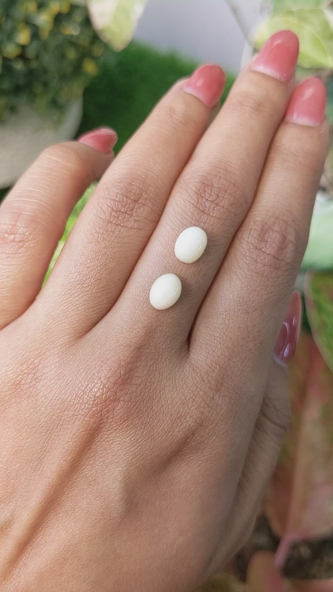 2.84&nbsp;Ct.Tw.Total Carat Weight Salmon and White Cabochon Coral Pair from Italy Size Video