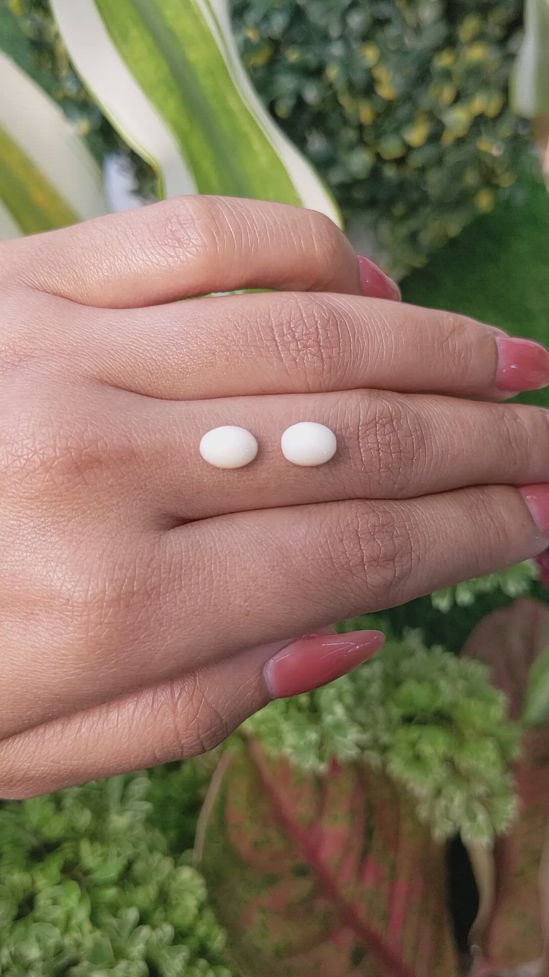 2.84&nbsp;Ct.Tw.Total Carat Weight Salmon and White Cabochon Coral Pair from Italy Size Video