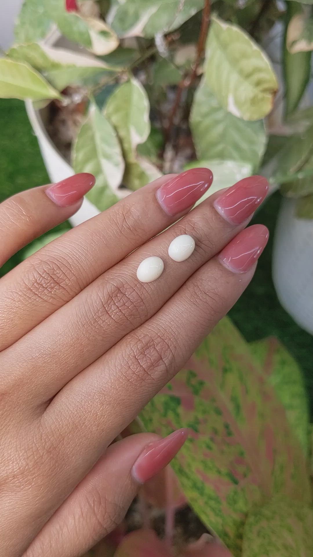 2.84&nbsp;Ct.Tw.Total Carat Weight Salmon and White Cabochon Coral Pair from Italy Size Video
