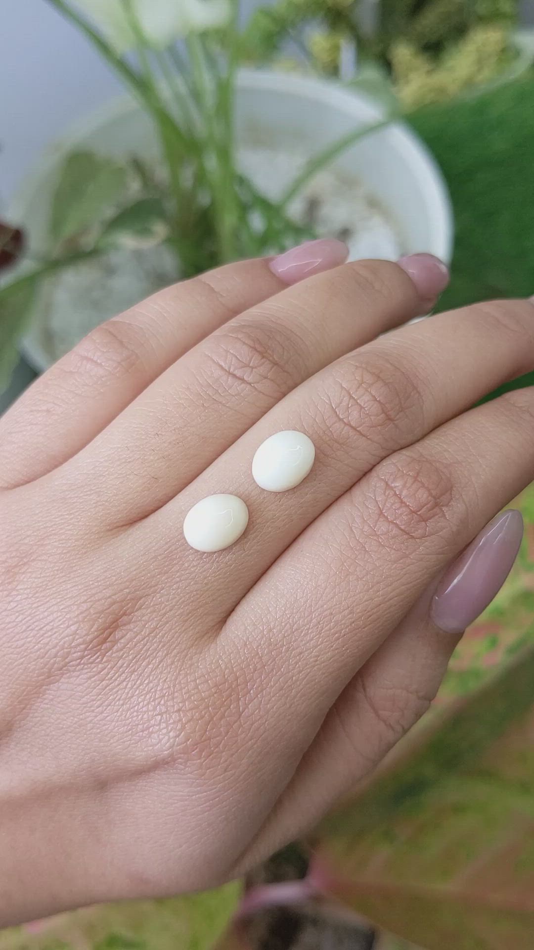 4.98 Ct.Tw.Total Carat Weight Salmon and White Cabochon Coral Pair from Italy Size Video