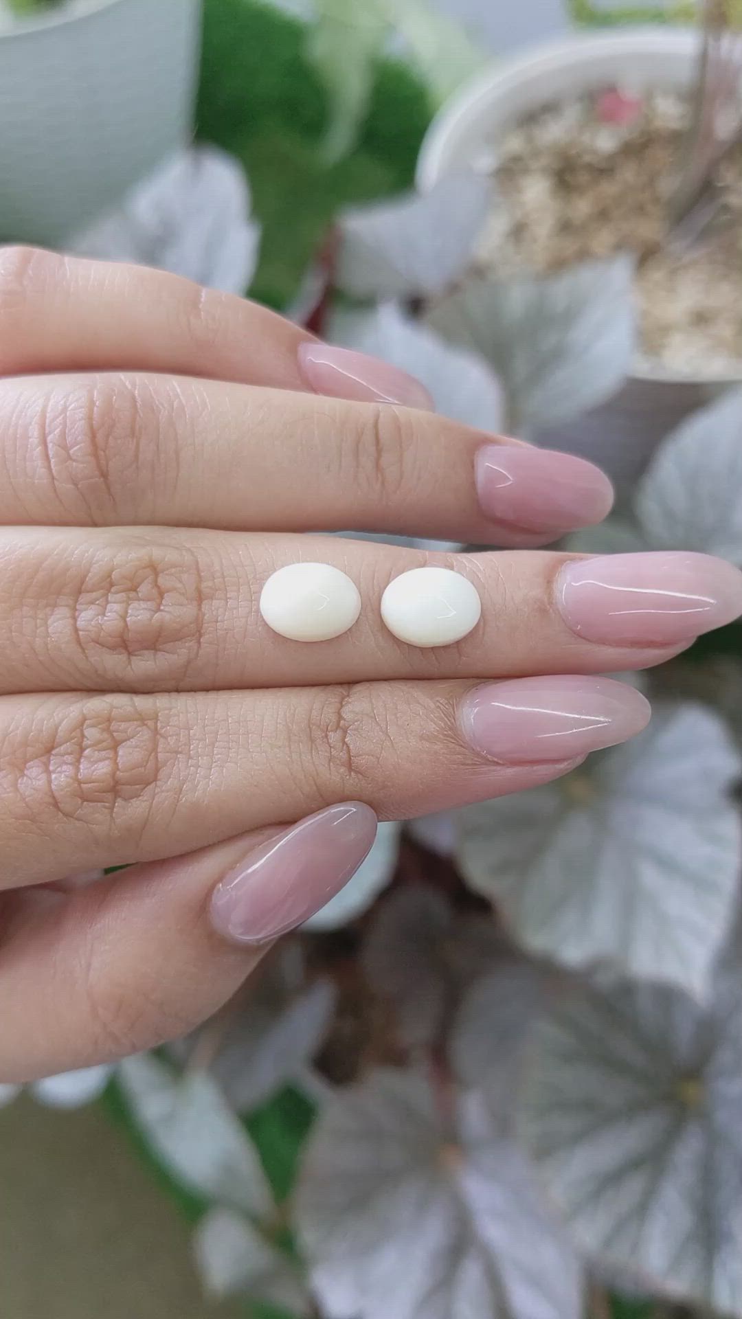 4.98 Ct.Tw.Total Carat Weight Salmon and White Cabochon Coral Pair from Italy Size Video