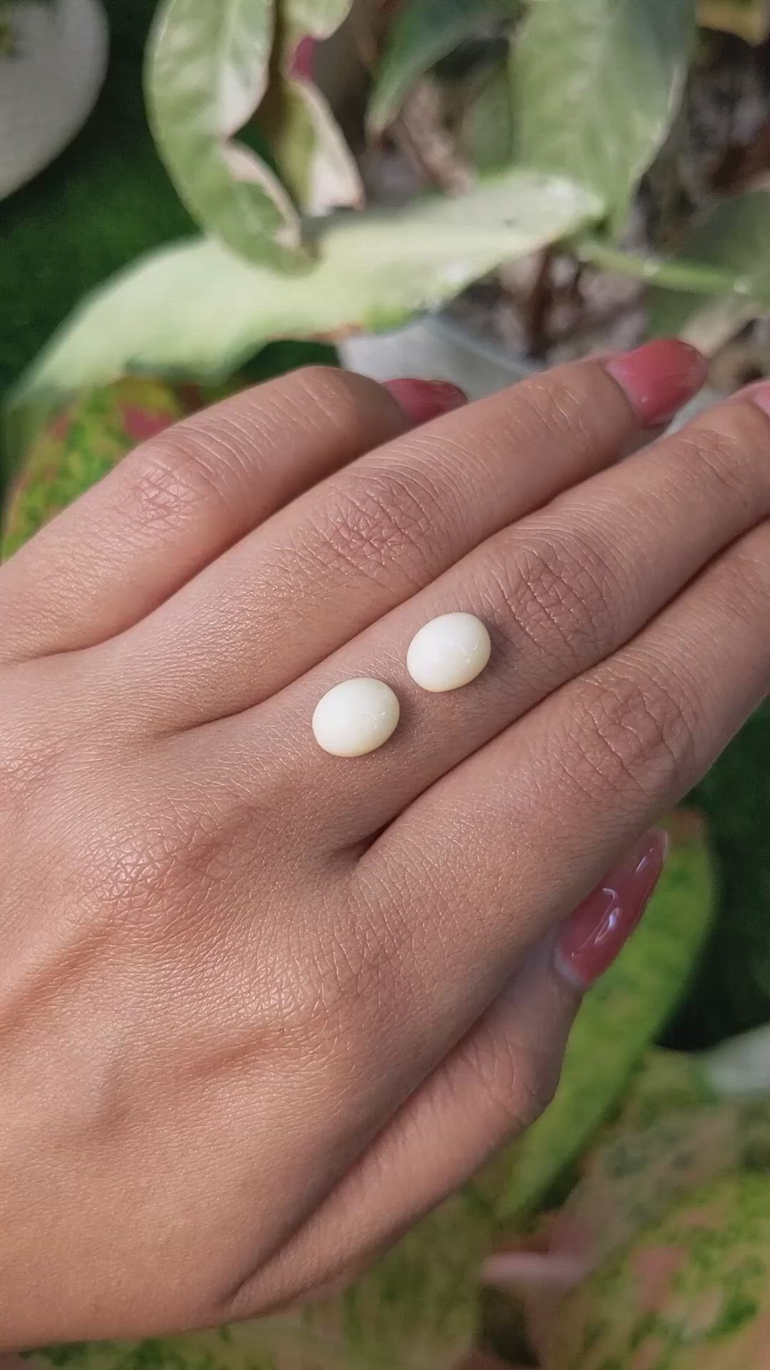 4.12&nbsp;Ct.Tw.Total Carat Weight Salmon and White Cabochon Coral Pair from Italy Size Video