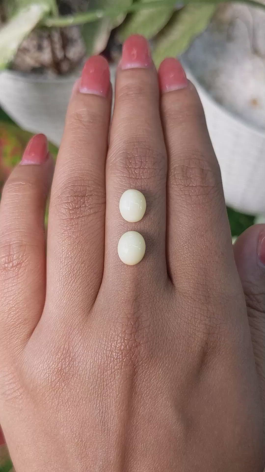 4.12&nbsp;Ct.Tw.Total Carat Weight Salmon and White Cabochon Coral Pair from Italy Size Video