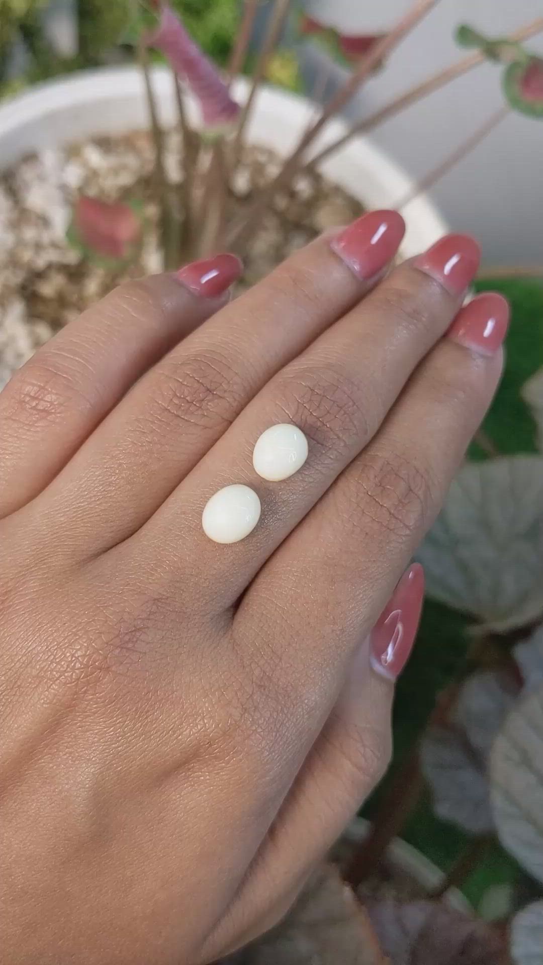 4.68&nbsp;Ct.Tw.Total Carat Weight Salmon and White Cabochon Coral Pair from Italy Size Video