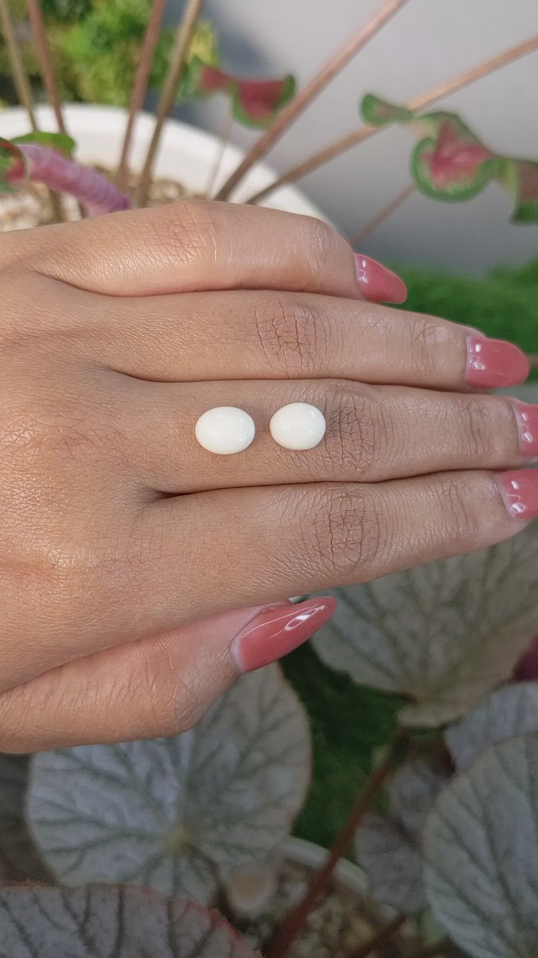 4.68&nbsp;Ct.Tw.Total Carat Weight Salmon and White Cabochon Coral Pair from Italy Size Video