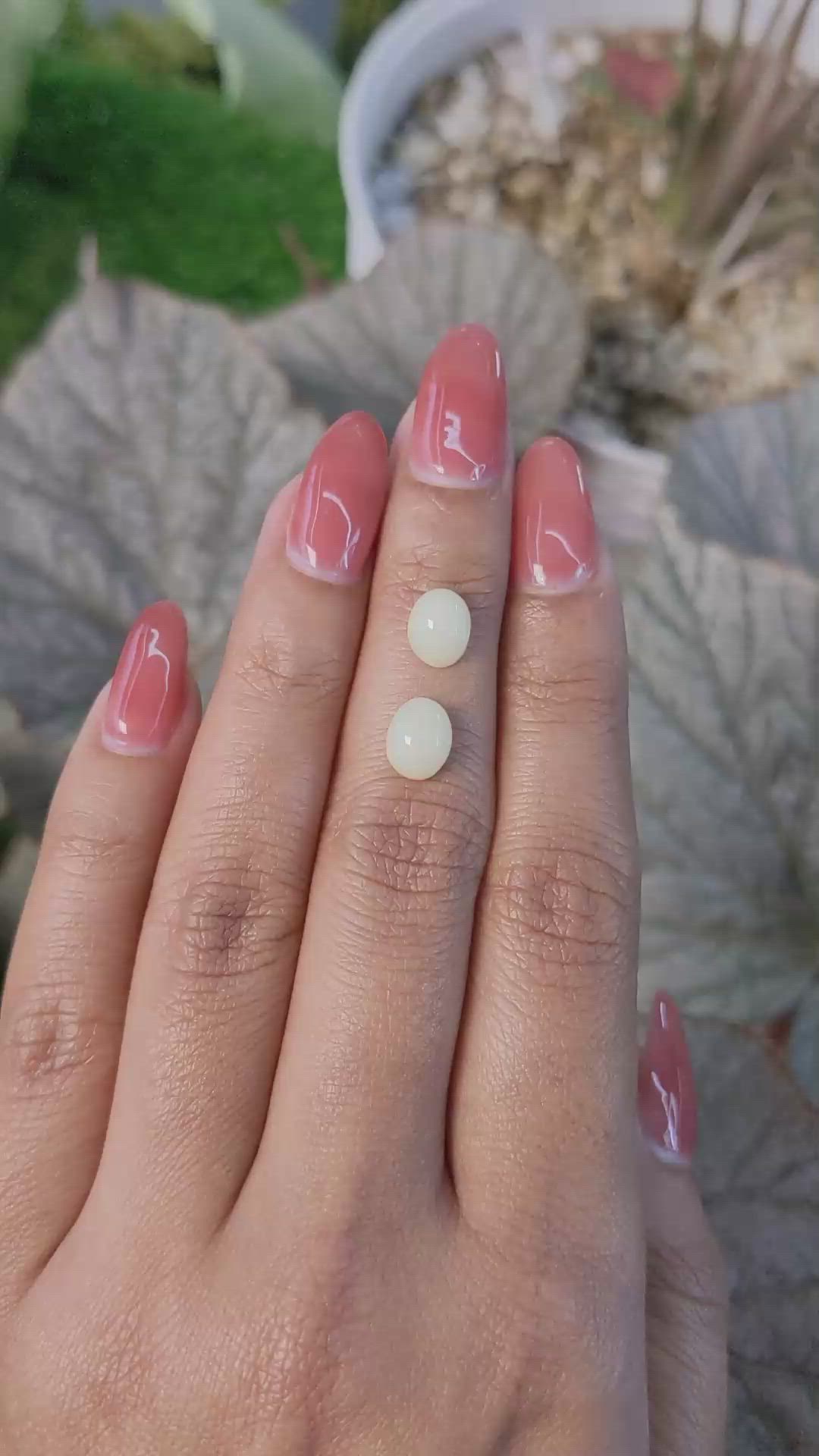 3.35&nbsp;Ct.Tw.Total Carat Weight Salmon and White Cabochon Coral Pair from Italy Size Video