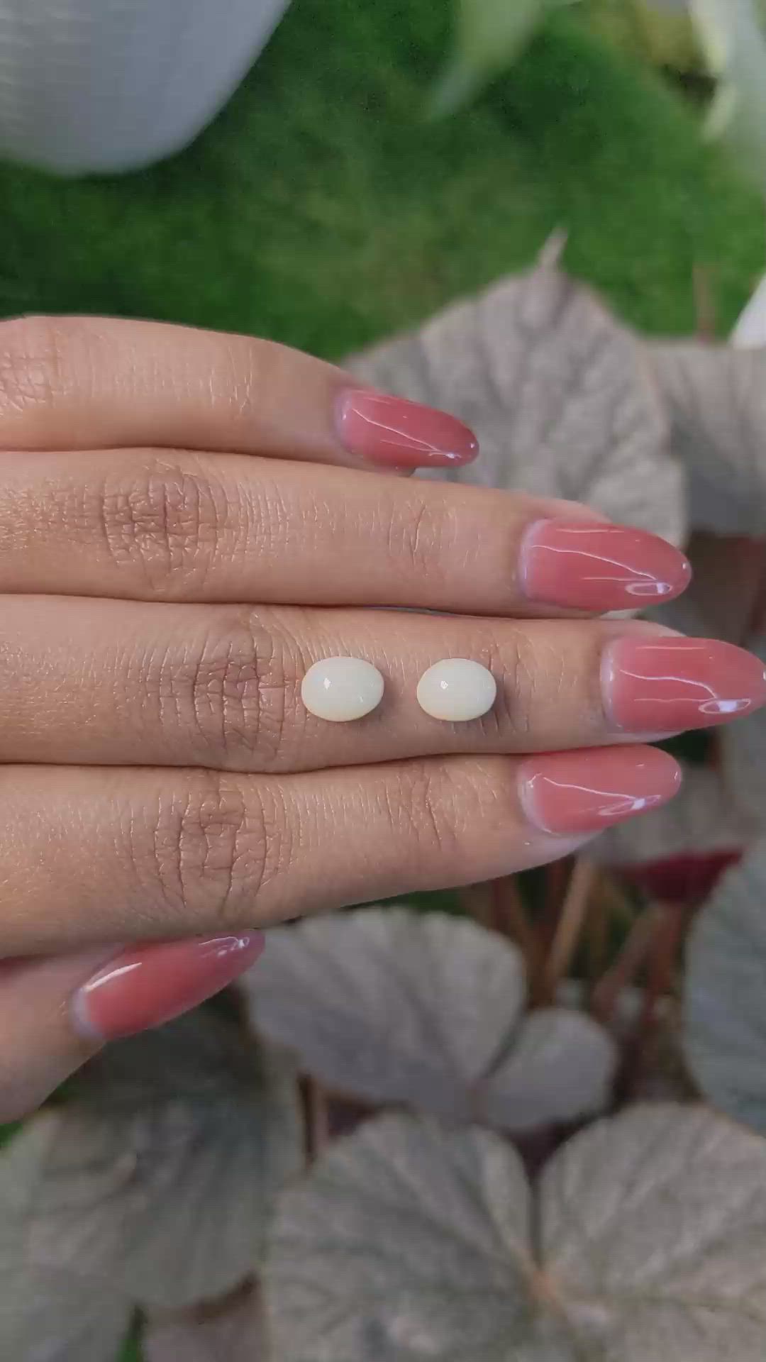 3.35&nbsp;Ct.Tw.Total Carat Weight Salmon and White Cabochon Coral Pair from Italy Size Video
