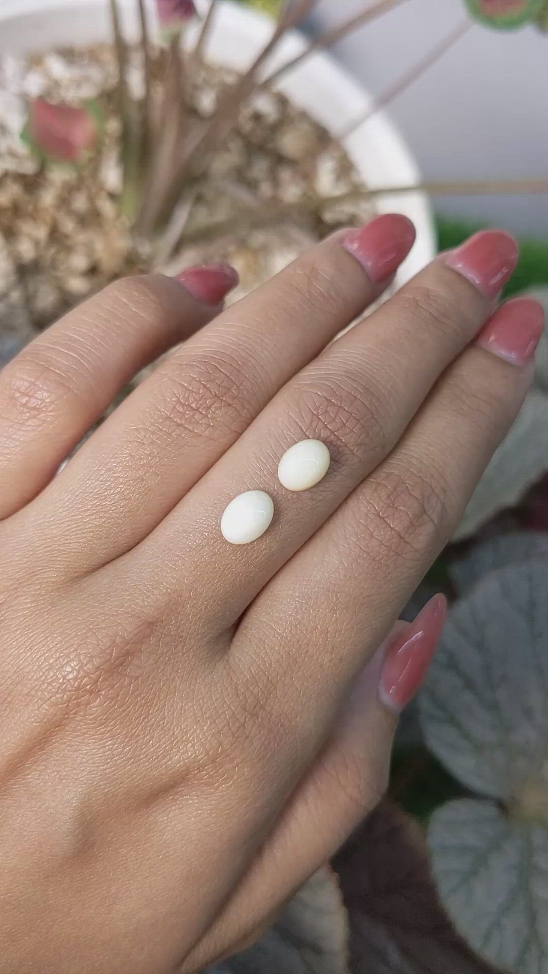 2.37&nbsp;Ct.Tw.Total Carat Weight Salmon and White Cabochon Coral Pair from Italy Size Video