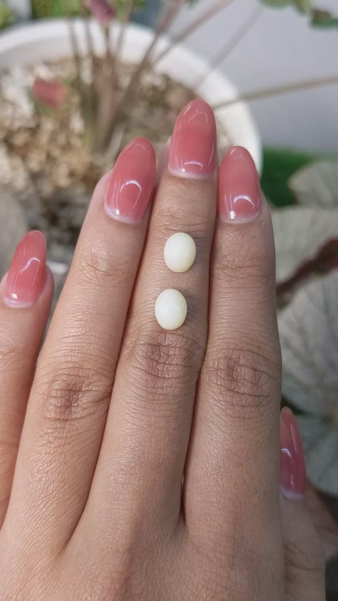 3.32&nbsp;Ct.Tw.Total Carat Weight Salmon and White Cabochon Coral Pair from Italy Size Video