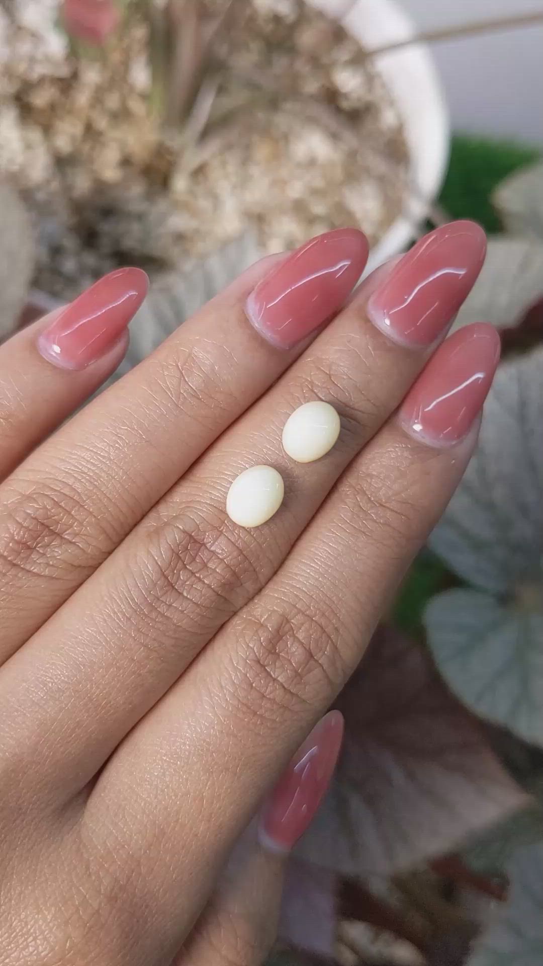 3.32&nbsp;Ct.Tw.Total Carat Weight Salmon and White Cabochon Coral Pair from Italy Size Video