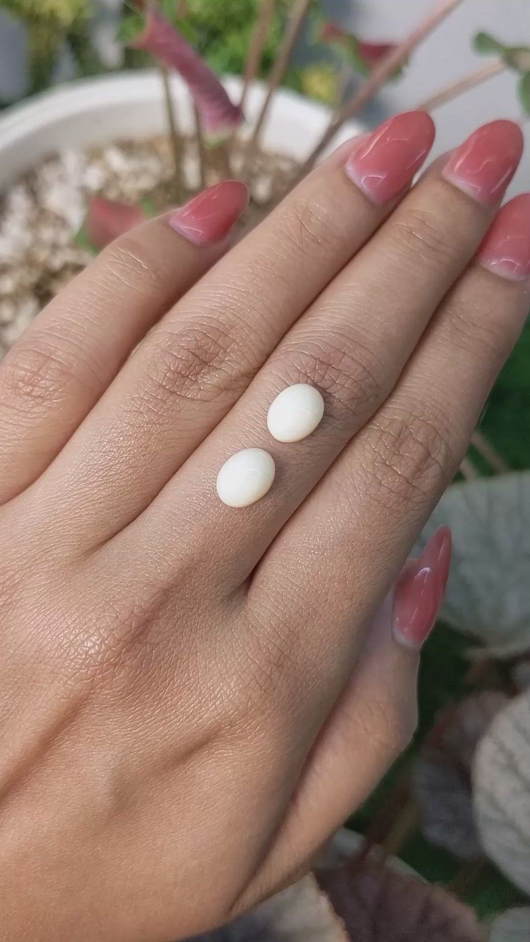 2.94&nbsp;Ct.Tw.Total Carat Weight Salmon and White Cabochon Coral Pair from Italy Size Video
