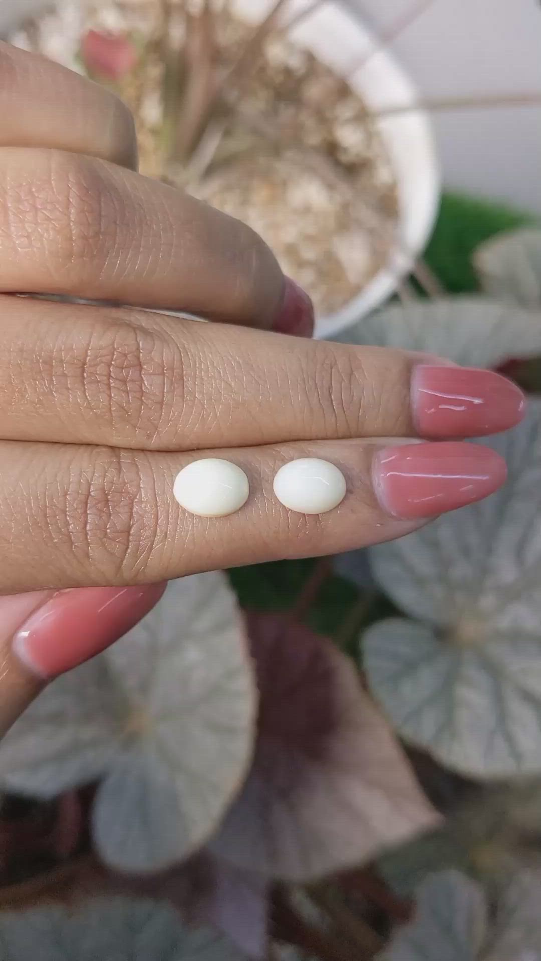 2.94&nbsp;Ct.Tw.Total Carat Weight Salmon and White Cabochon Coral Pair from Italy Size Video