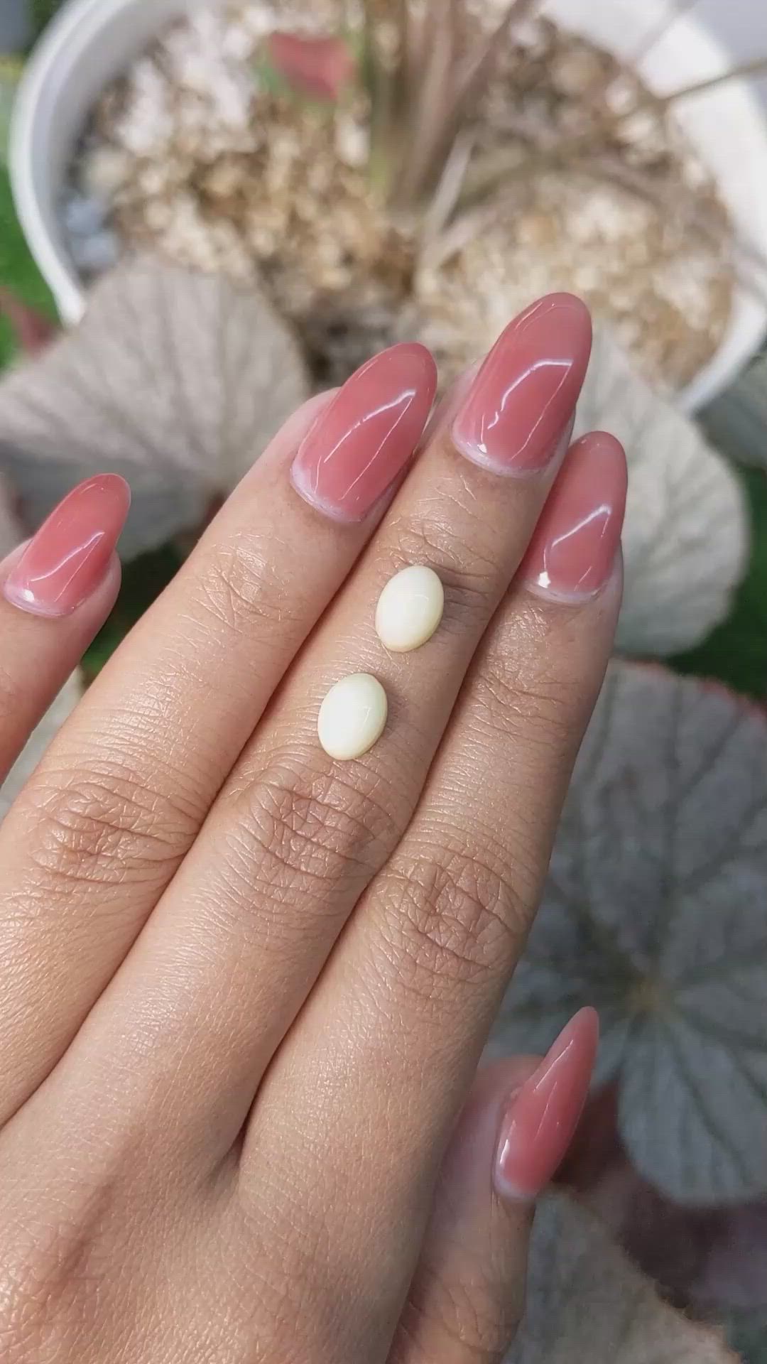 3.26&nbsp;Ct.Tw.Total Carat Weight Salmon and White Cabochon Coral Pair from Italy Size Video