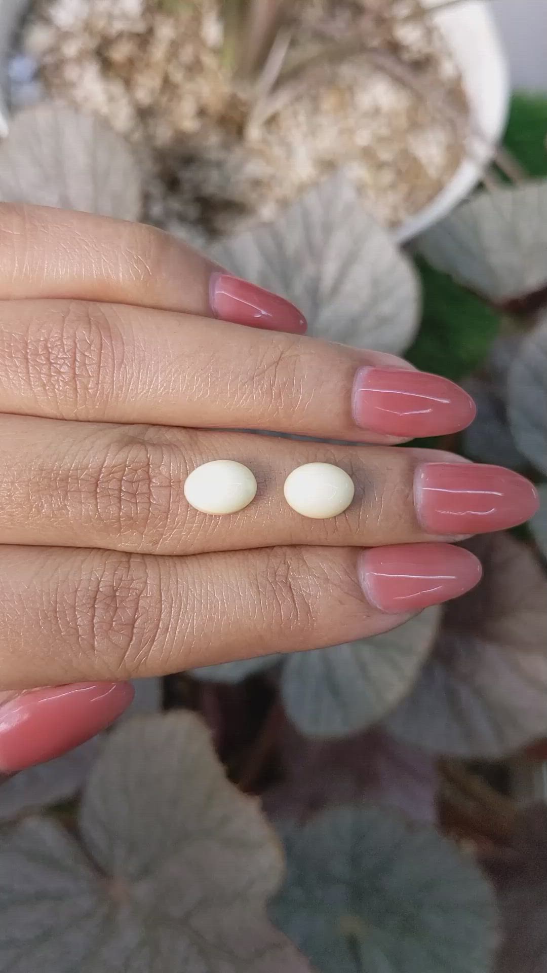 4.75 Ct.Tw.Total Carat Weight Salmon and White Cabochon Coral Pair from Italy Size Video