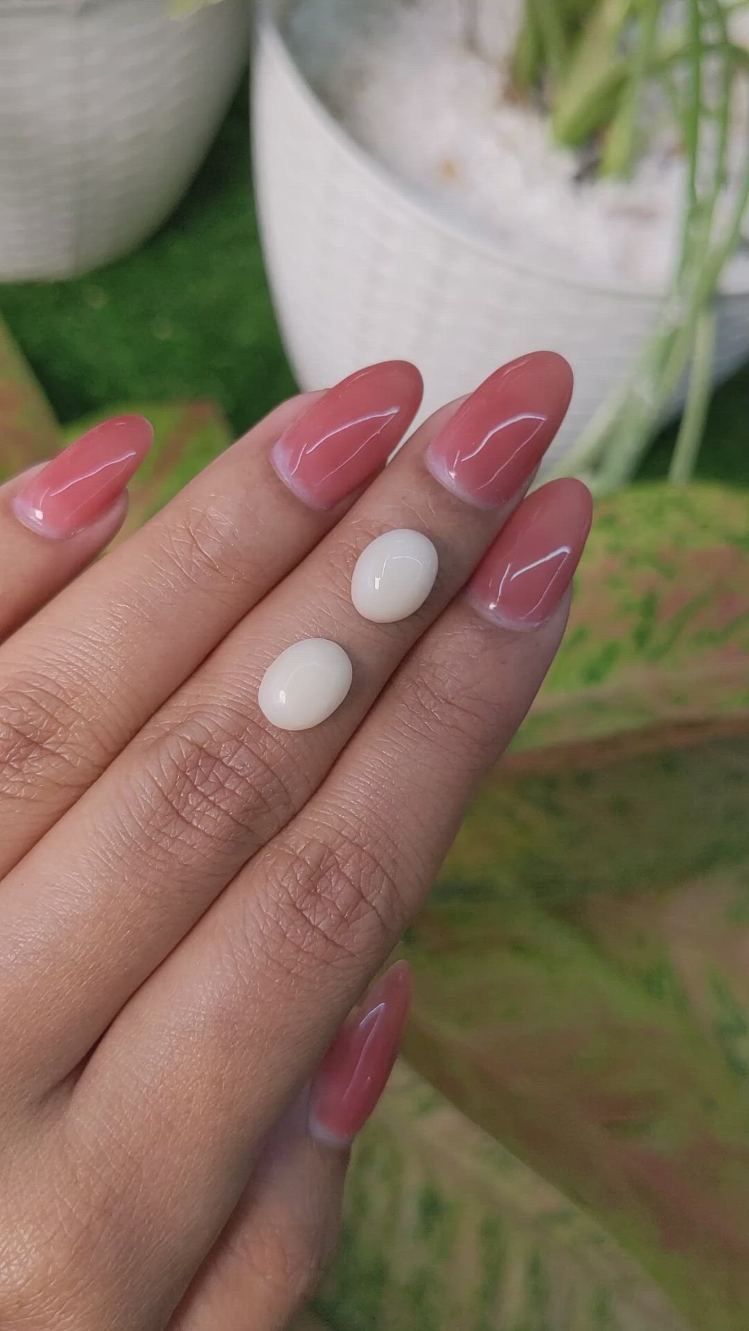 3.94 Ct.Tw.Total Carat Weight Salmon and White Cabochon Coral Pair from Italy Size Video