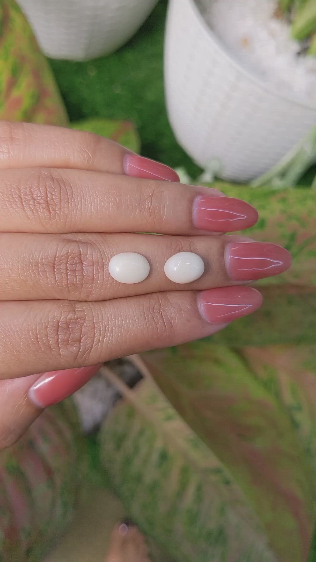 3.94 Ct.Tw.Total Carat Weight Salmon and White Cabochon Coral Pair from Italy Size Video