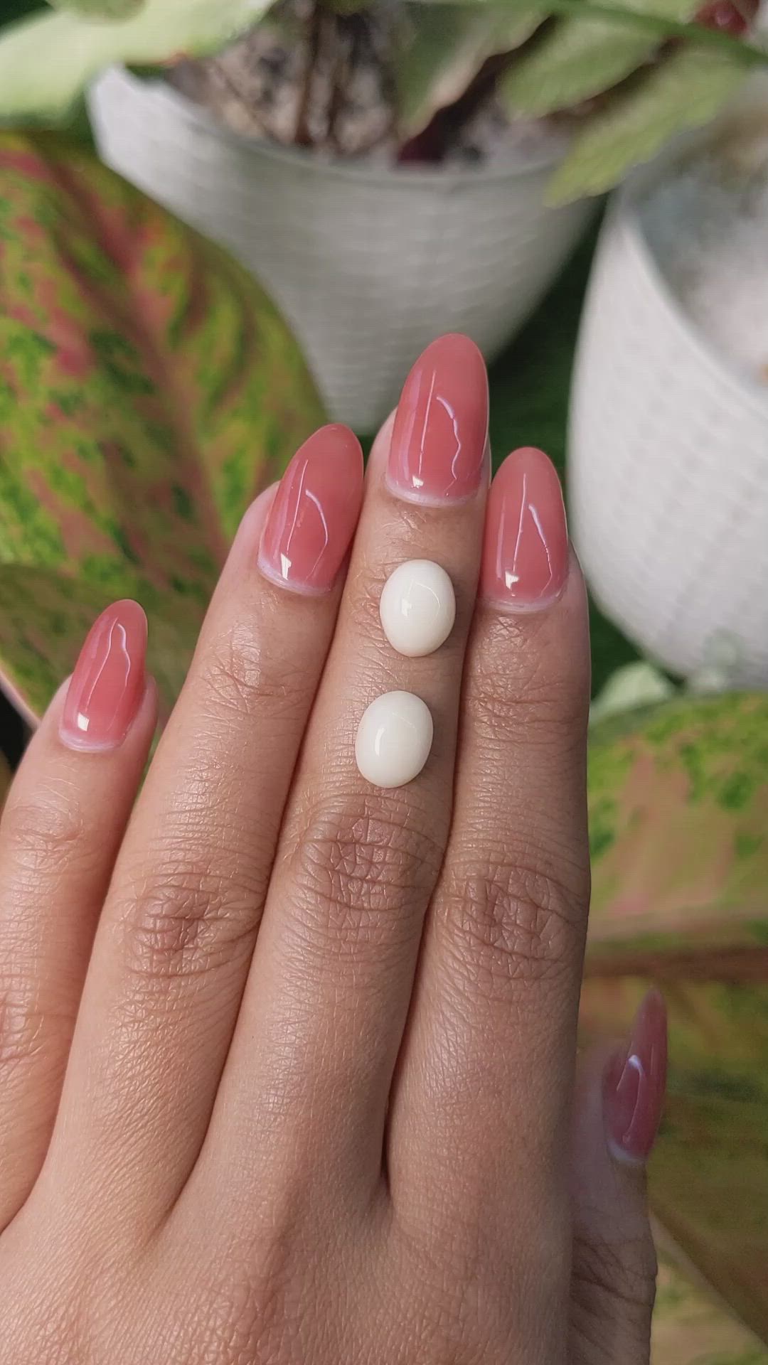 3.94 Ct.Tw.Total Carat Weight Salmon and White Cabochon Coral Pair from Italy Size Video