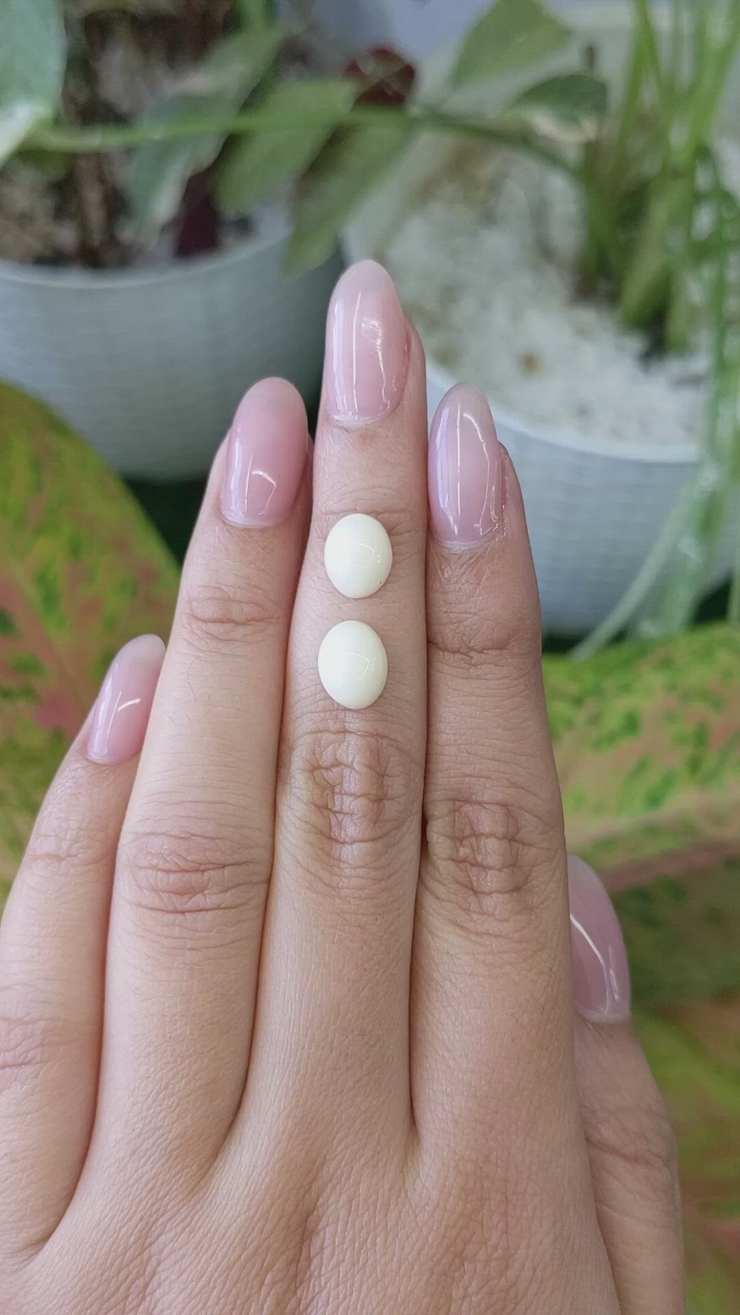 4.22&nbsp;Ct.Tw.Total Carat Weight Salmon and White Cabochon Coral Pair from Italy Size Video