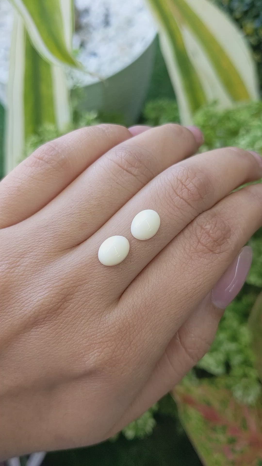 4.22&nbsp;Ct.Tw.Total Carat Weight Salmon and White Cabochon Coral Pair from Italy Size Video