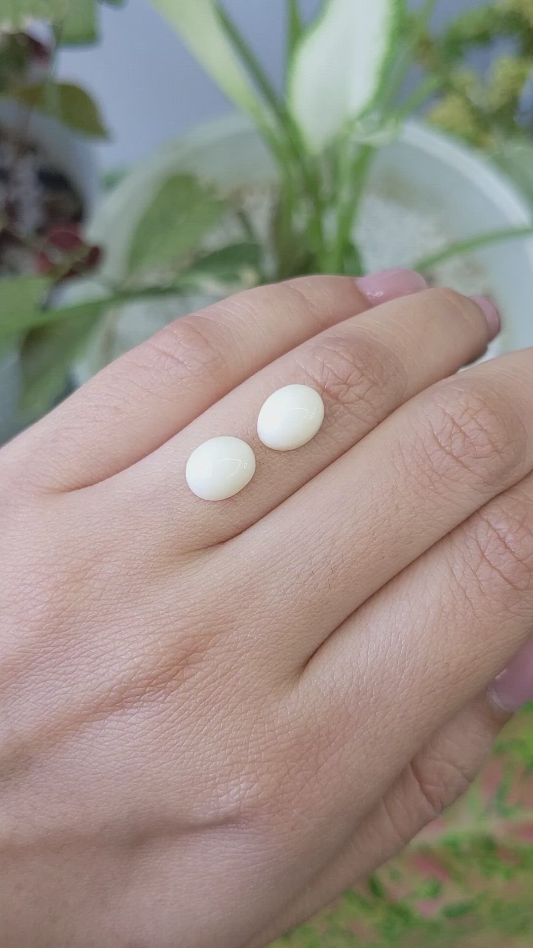 4.52 Ct.Tw.Total Carat Weight Salmon and White Cabochon Coral Pair from Italy Size Video