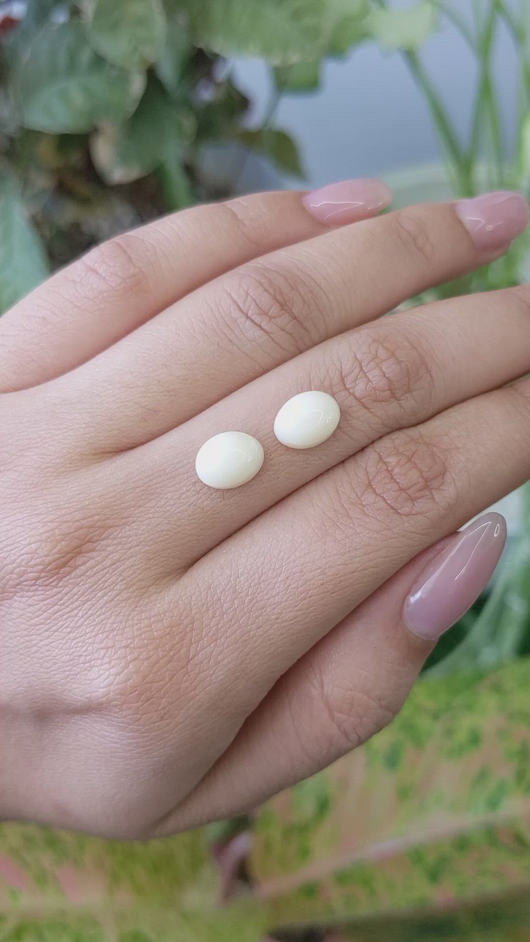 4.42 Ct.Tw.Total Carat Weight Salmon and White Cabochon Coral Pair from Italy Size Video