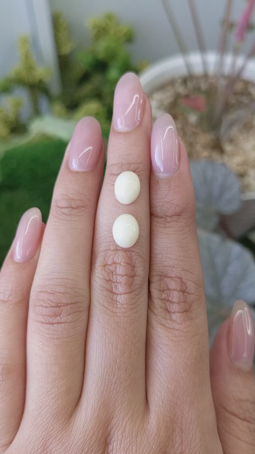 4.42 Ct.Tw.Total Carat Weight Salmon and White Cabochon Coral Pair from Italy Size Video