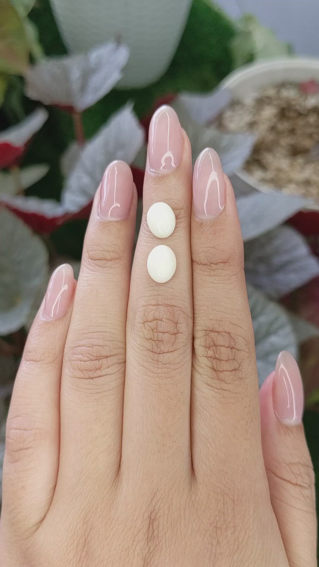 3.70 Ct.Tw.Total Carat Weight Salmon and White Cabochon Coral Pair from Italy Size Video
