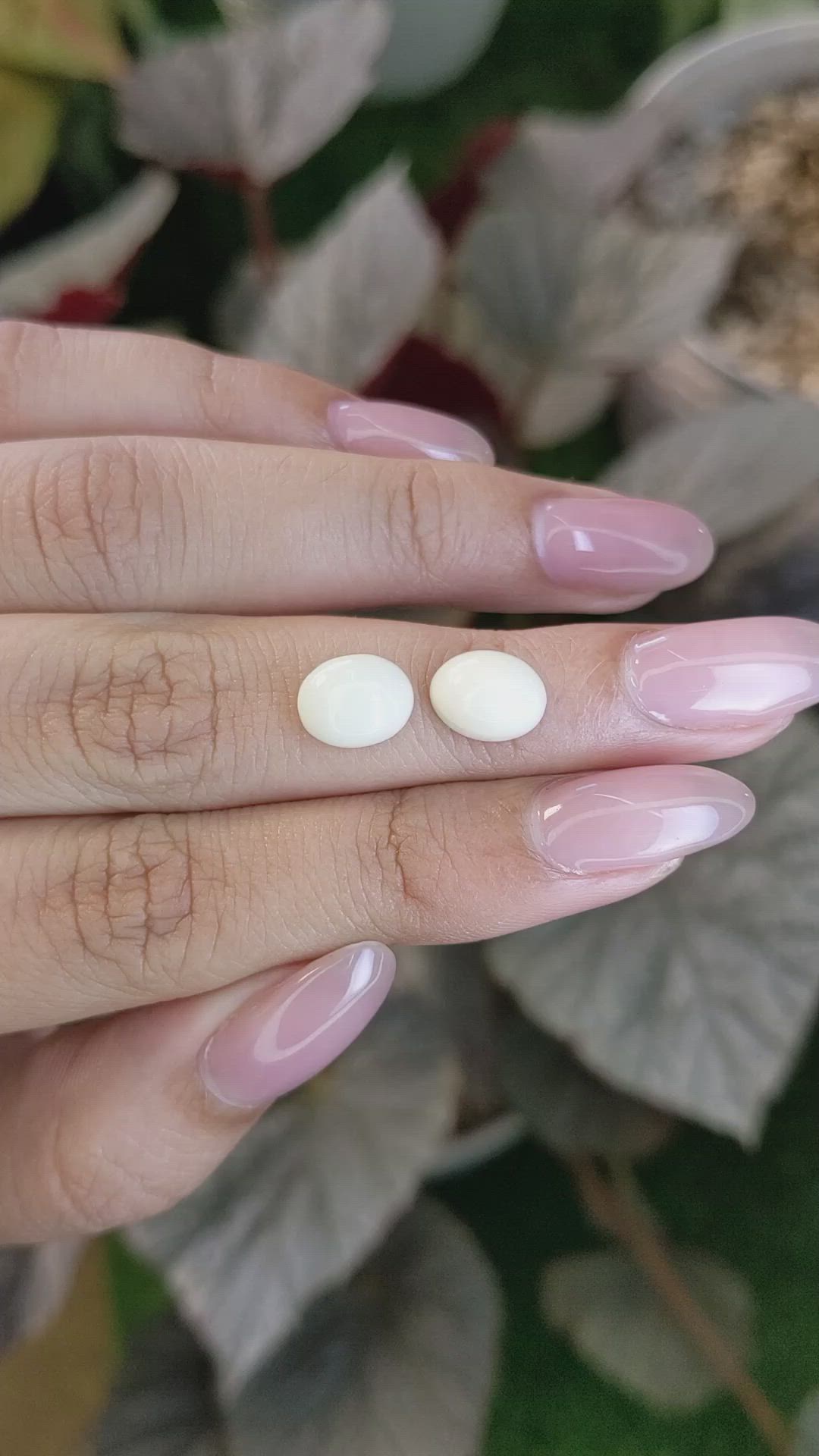 4.19 Ct.Tw.Total Carat Weight Salmon and White Cabochon Coral Pair from Italy Size Video