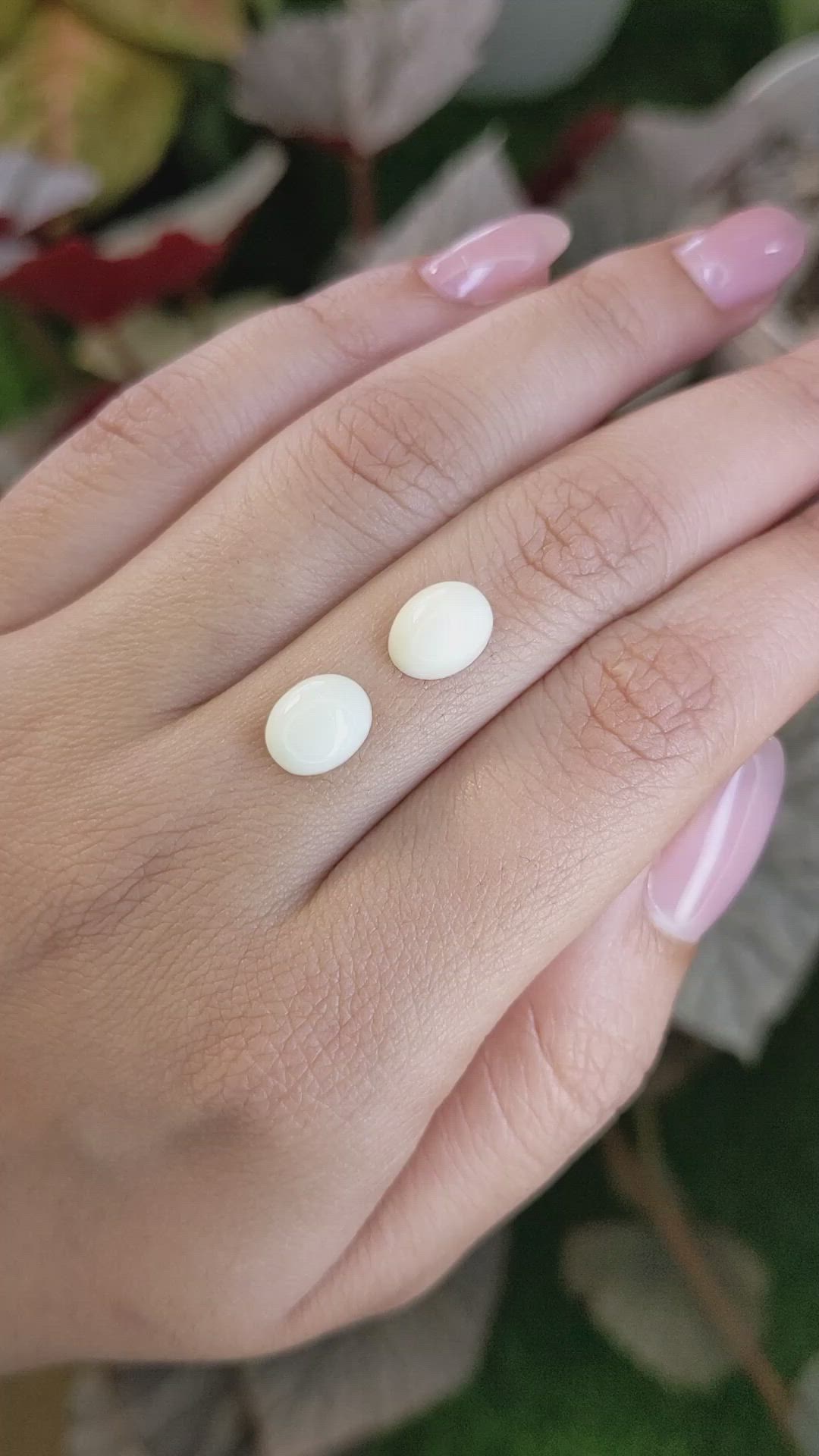 4.19 Ct.Tw.Total Carat Weight Salmon and White Cabochon Coral Pair from Italy Size Video