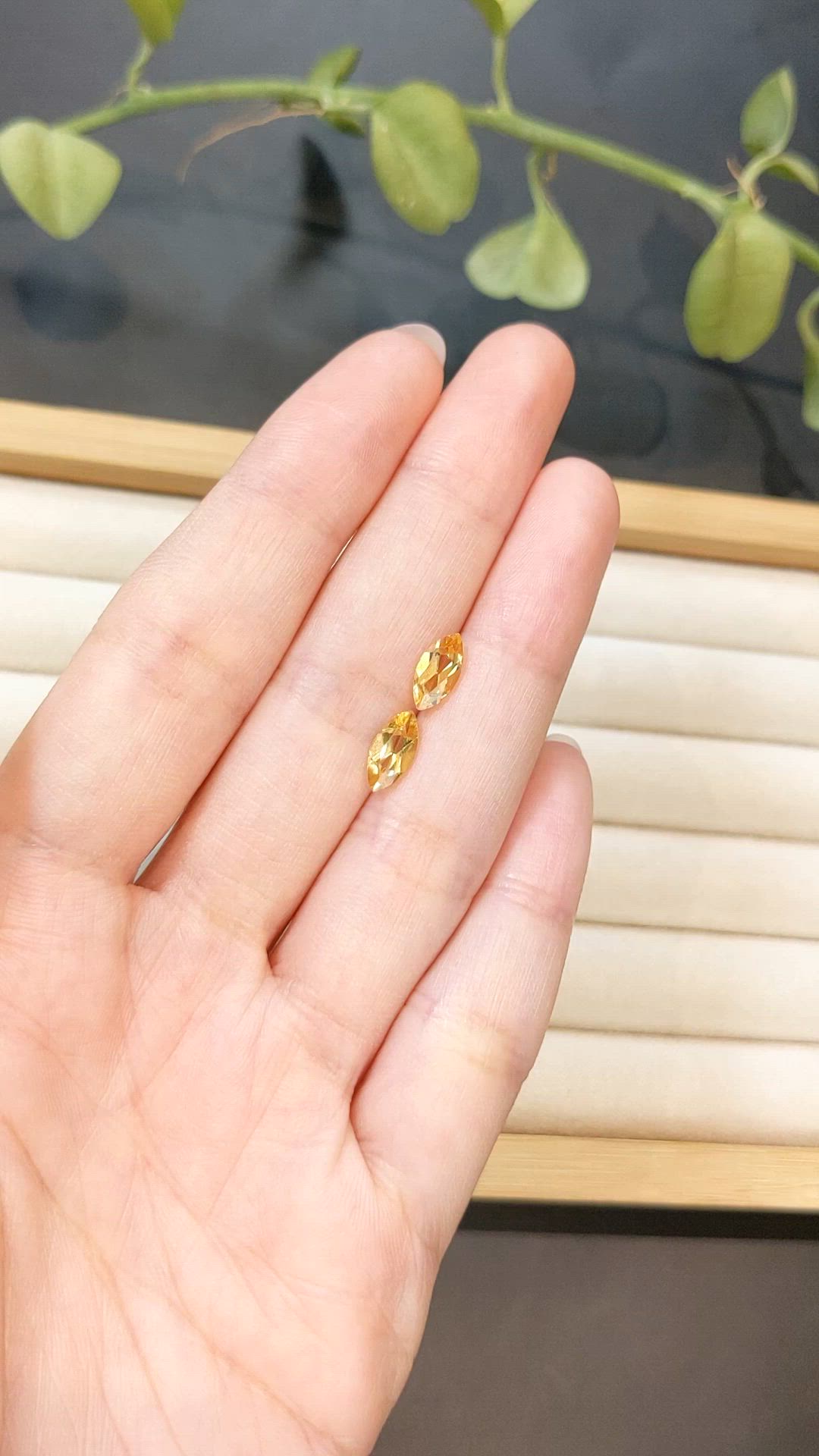 1.51 Ct.Tw.Total Carat Weight Yellow Citrine Pair from Madagascar Size Video