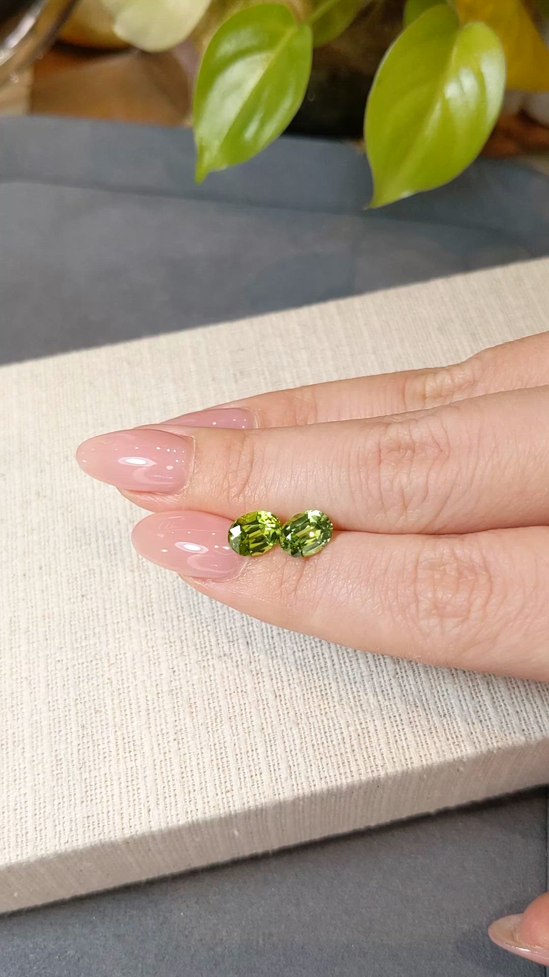 3.06&nbsp;Ct.Tw.Total Carat Weight Yellowish Green Peridot Pair from Burma (Myanmar) Size Video