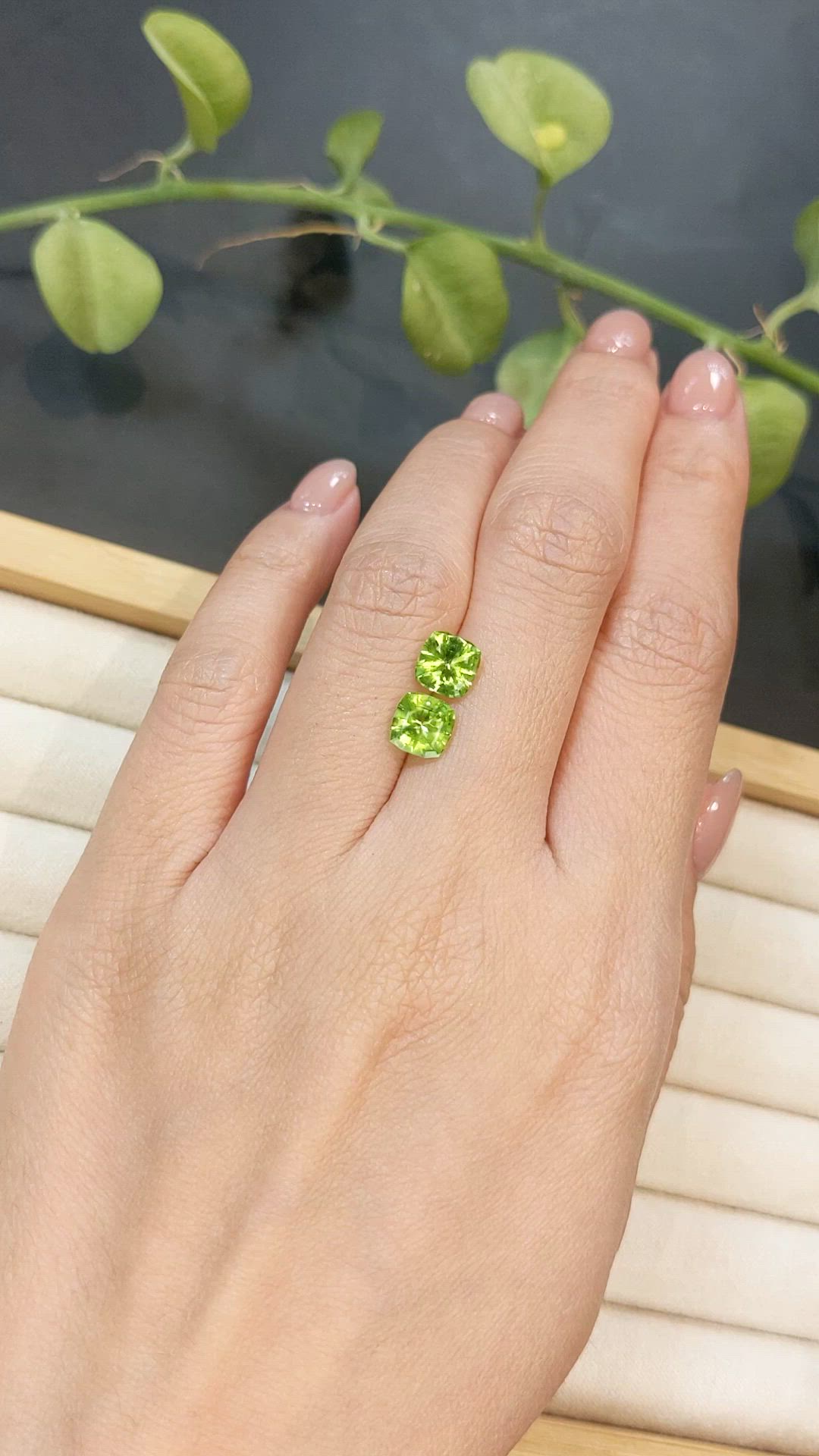 2.70 Ct.Tw.Total Carat Weight Yellowish Green Peridot Pair from Burma (Myanmar) Size Video