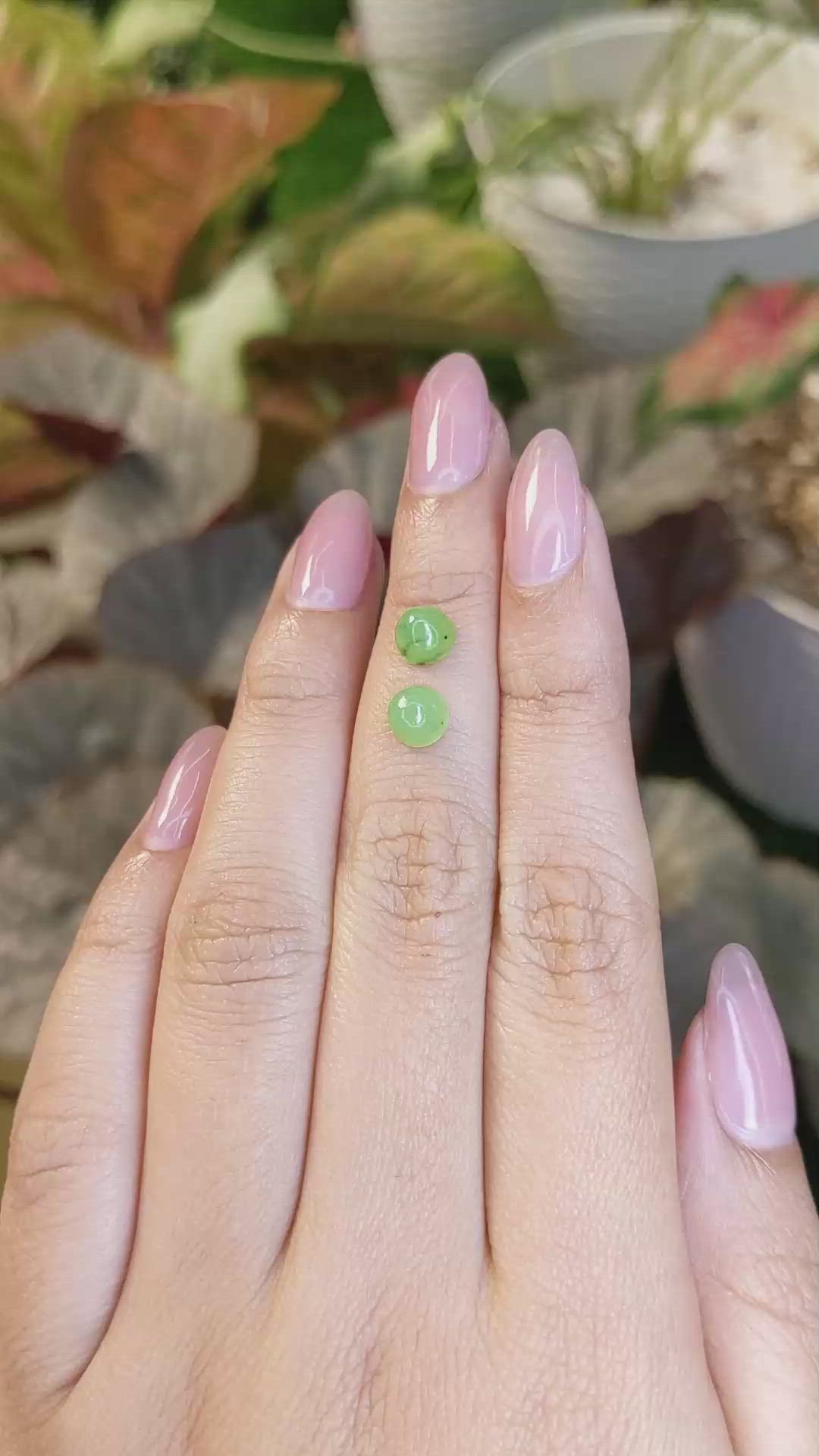 2.51&nbsp;Ct.Tw.Total Carat Weight Yellowish Green Cabochon Jade Pair from Burma (Myanmar) Size Video