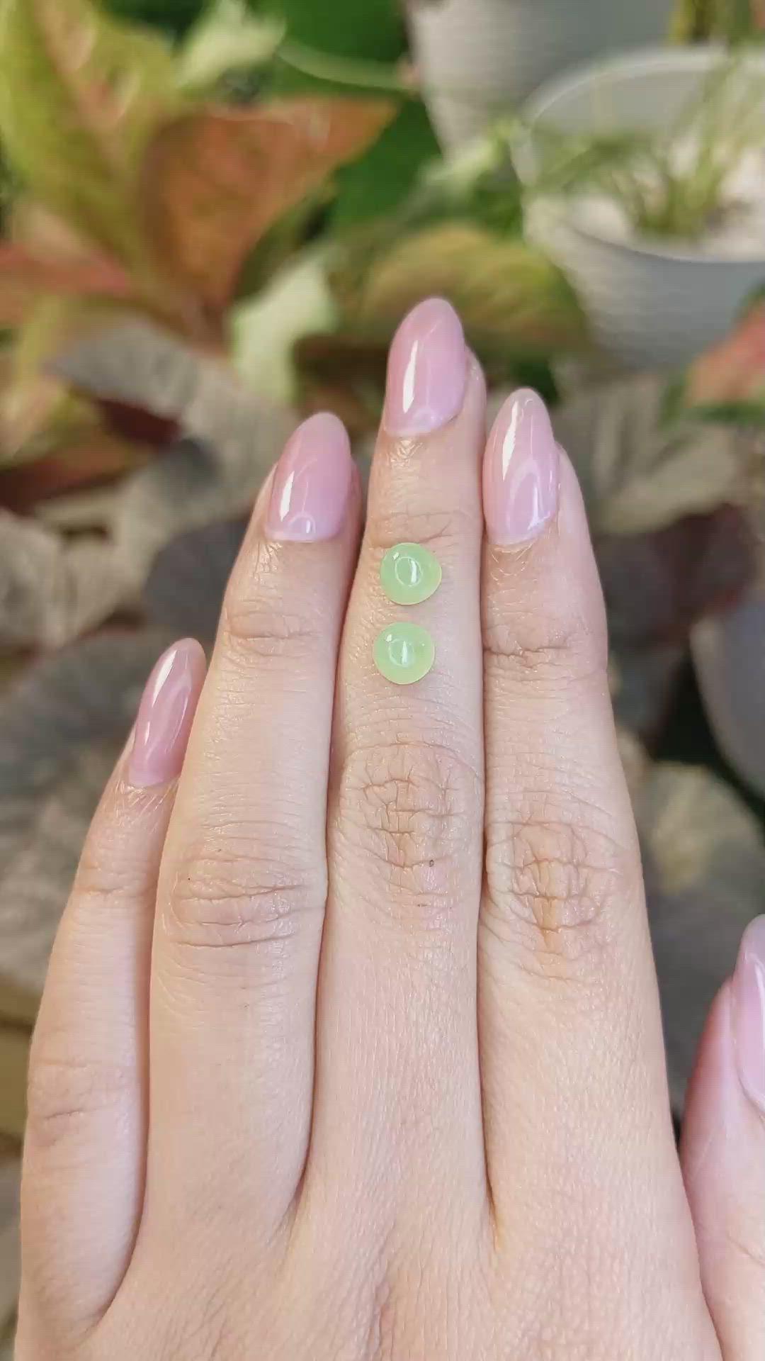 2.65&nbsp;Ct.Tw.Total Carat Weight Yellowish Green Cabochon Jade Pair from Burma (Myanmar) Size Video
