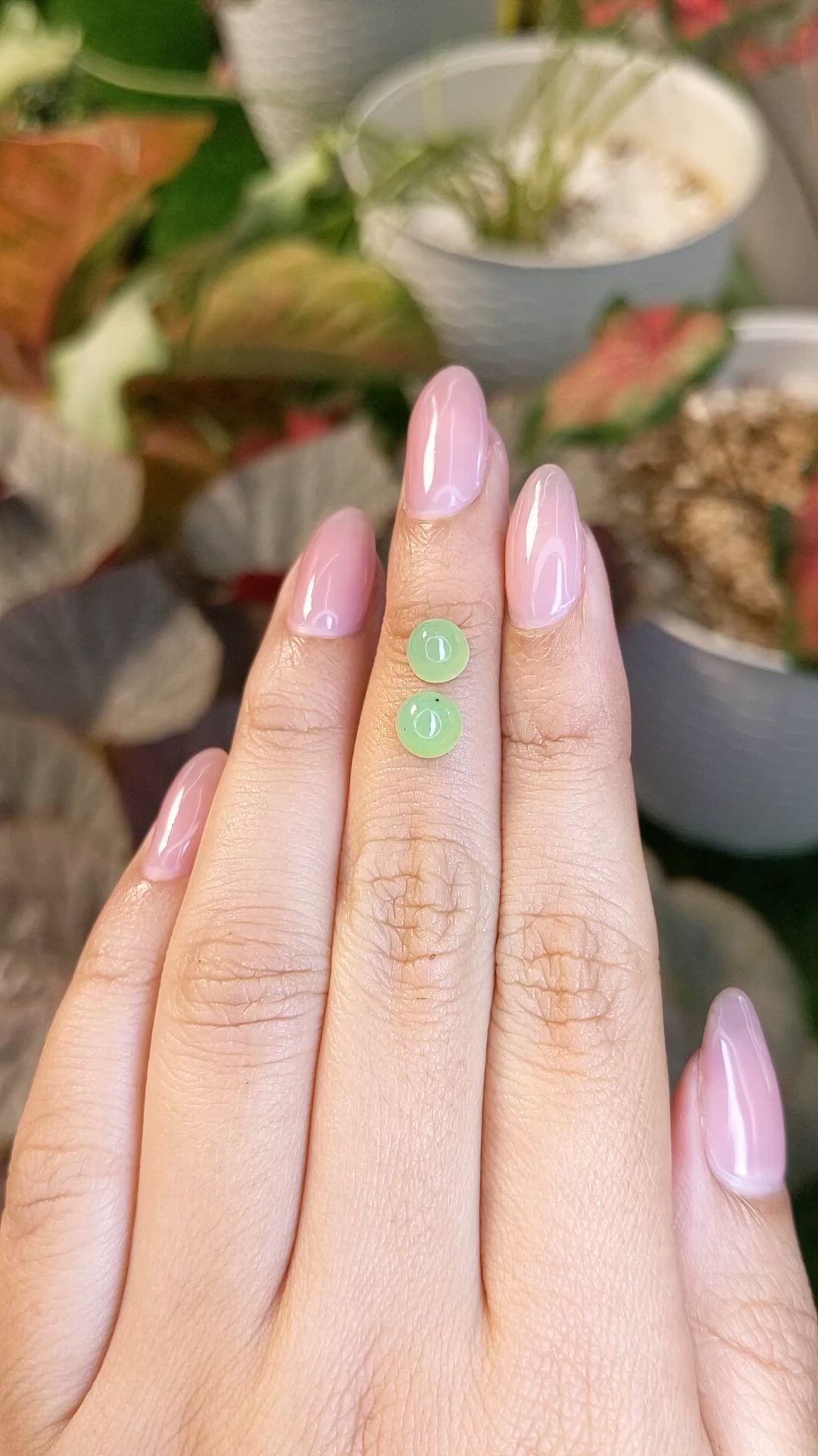 2.87&nbsp;Ct.Tw.Total Carat Weight Green Cabochon Jade Pair from Burma (Myanmar) Size Video